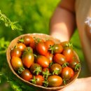 본연농장 이미지