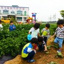 경기엘림어린이집 이미지