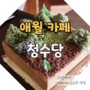 매일붐비나 | 애월 카페거리에서 여유롭게 머물렀던 청수당 후기