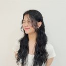 히피살롱 이미지