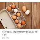 노른자 색깔이 짙다면 이것 많다는 증거 이미지