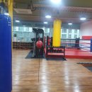 서충주YB복싱 이미지