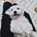 금강종합동물병원 이미지