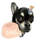 선트리 호텔 | 해운대 달맞이길 가성비 숙소 추천 🌸벚꽃스팟 바로 앞, 호텔 선트리 다녀온 후기(26.03.30)