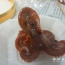 쭈꾸미왕자 이미지