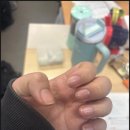 손토비발토비 이미지
