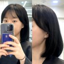 둔산동 미용실 추천 루시드헤어에서 시세이도 클리닉 4단계 받고 왔어요(주현 디자이너)