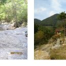 (주)씨엔와이 이미지