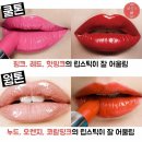 미스데이지