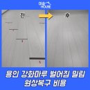 독점로 | 용인 강화마루 벌어짐 밀림 원상복구 비용