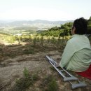 [굽이굽이 별천지] ⑧ '격전지에서 희망의 땅으로'…양구 펀치볼 이미지