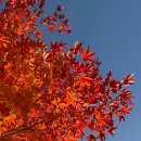 청약국 | LH청약플러스 하남미사C3BL 행복주택 36형 신혼부부 예비입주자 당첨 후기