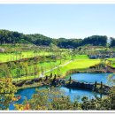 일라이트호텔 이미지