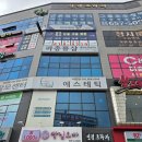 비전동 소로 3-33 | 평택 비전동 파충류 전문점 베이비파충류샵 크레입양 후기