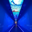해중시스템 이미지