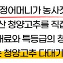 지야네외가집고추다대기