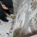 세븐일레븐 진주시티프라디움점 | 진주욕실리모델링 시티프라디움1차 화장실 올철거 후 인테리어