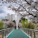 삼평어린이공원 이미지