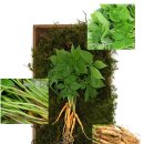 윤희네농장 이미지