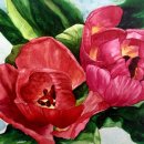 보태니컬+팝아트 이미지