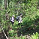 갯여울민박 이미지