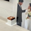 테일러센츠 디퓨저 2L 가든브리즈 향, 산뜻함 끝판왕 대용량디퓨저 내돈내산 솔직후기(Taylor scents)