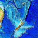 (주)코마코 | 곤드와나 대륙의 기억과 뉴질랜드 식물/동물 이야기