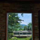 연천-13 | [경기/연천] 샛대광길13카페 내돈내산 후기