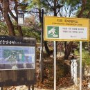 시민운동장 (옥외1) 이미지