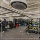 피지오숲 이미지