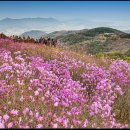 고려산주유소 이미지