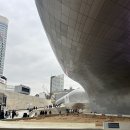 신발프라자 | 발레리나 득템한 쿠에른 바자 2026 후기 - 쿠에른 신발 50% 할인 구매