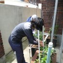 만복경로당 이미지