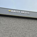 데이지호텔 | 양평 데이지 호텔 내돈내산 후기🍃