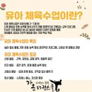 정도태권스쿨 이미지