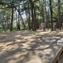 내원정사 옆 이미지