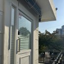 이마트24 온천벚꽃점 이미지