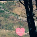 섬진강마실캠핑장 이미지