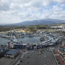 해성속초물회회센타 | [강원/속초] 팔팔회센타 본점: 속초 맛집 대포항 횟집 대게 추천 주차 메뉴