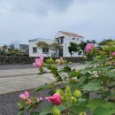 까사 그란데 이미지