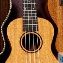 신나는우쿨렐레 이미지