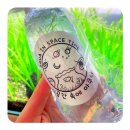 핀네이트 수초로 어항을 꾸며보았어요 :-) / “시공간 속의 아쿠아” 수초 후기
