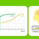 마음튼튼 책놀이 이미지