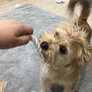 오구컴퍼니 이미지