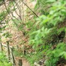 성림약수터 이미지