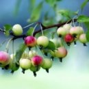 시월이네 이미지