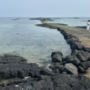 월암리 노인회관 공중화장실 | [제주] 김녕떠오르길 만조 | 간조 시간 , 주차 , 화장실 이용