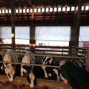 에코주유소 이미지