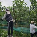 대심농장 이미지