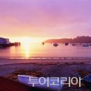 라이브일출 이미지